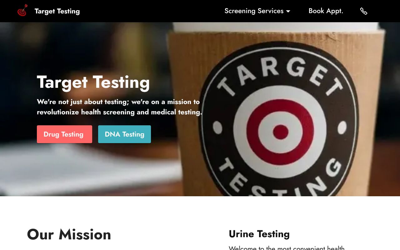 Target Testing website preview